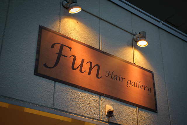 Fun hair gallery